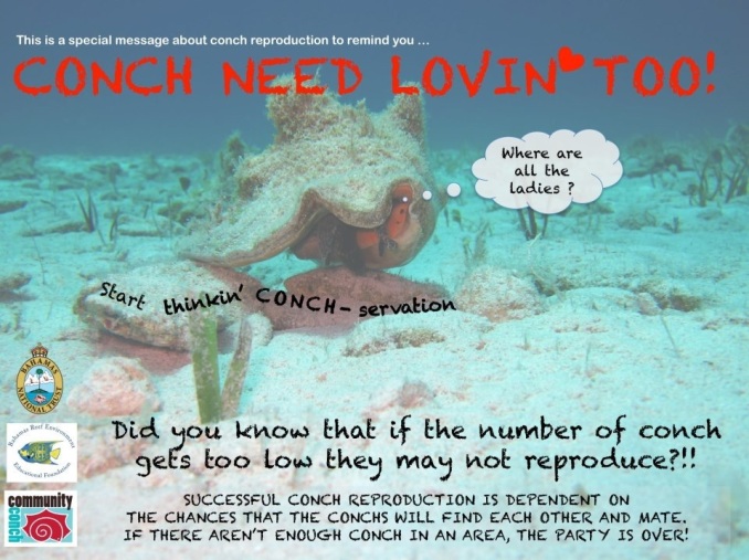 Conch Conservation Notice