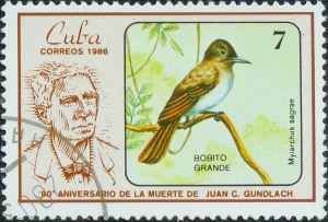 Cuba Stamp La Sagra's Flycatcher