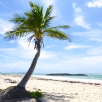 SHORE THINGS: BEACHCOMBING ON A PRISTINE ABACO BEACH
