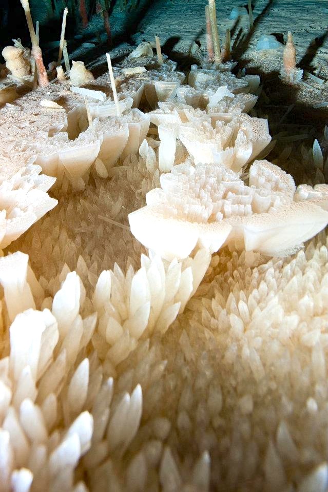 Crystal Caves of Abaco - Ralph's Cave (Brian Kakuk)