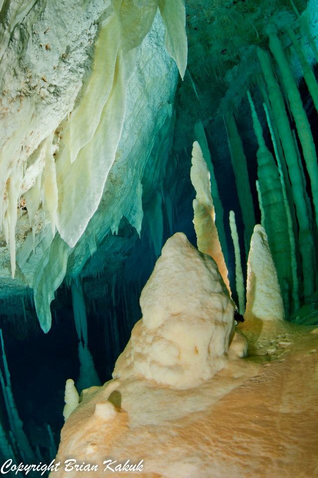Dan's Cave, Abaco (©Brian Kakuk)