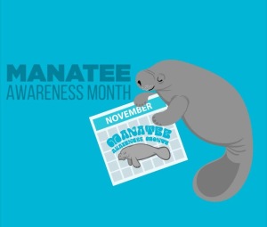 Manatee Awareness Graphic (Peppermint Narwhal)